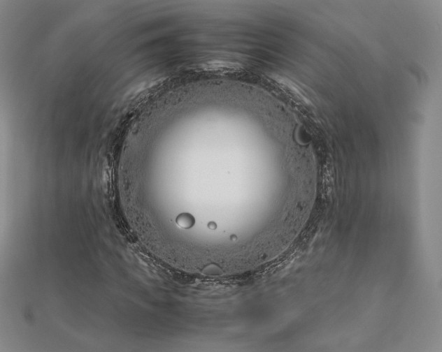 X0000113150917200909041230