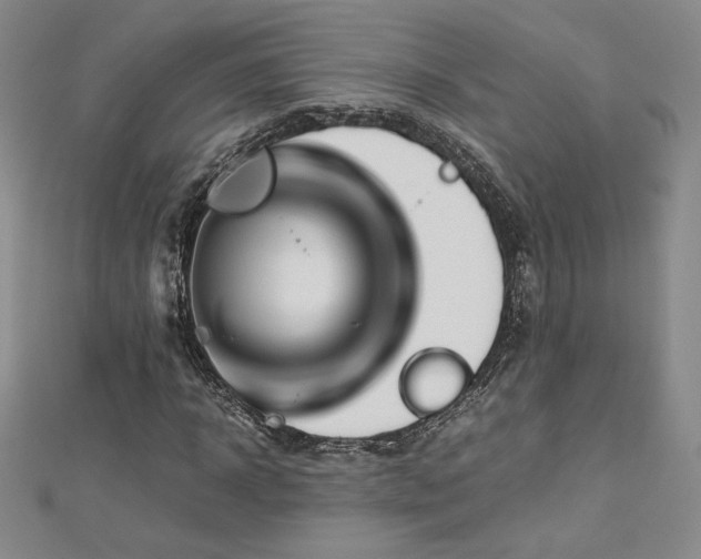 X0000113150918200909041230