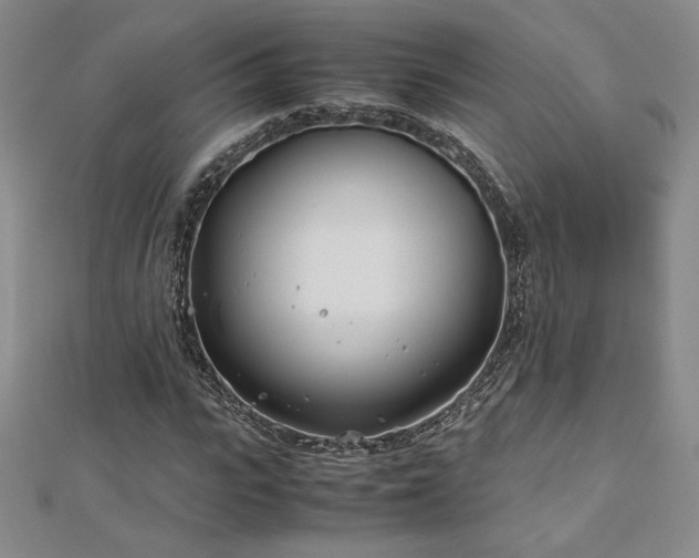 X0000113150919200909041230