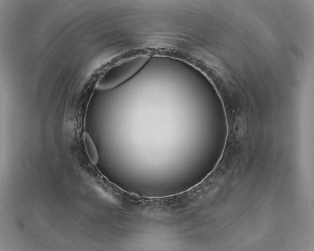 X0000113150920200909041230