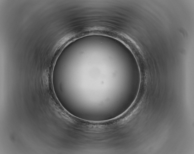 X0000113150921200909041230