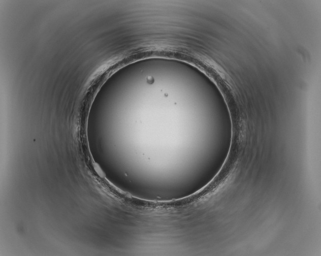 X0000113150922200909041230