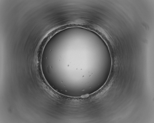 X0000113150923200909041230