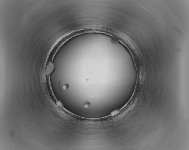 X0000113150924200909041230