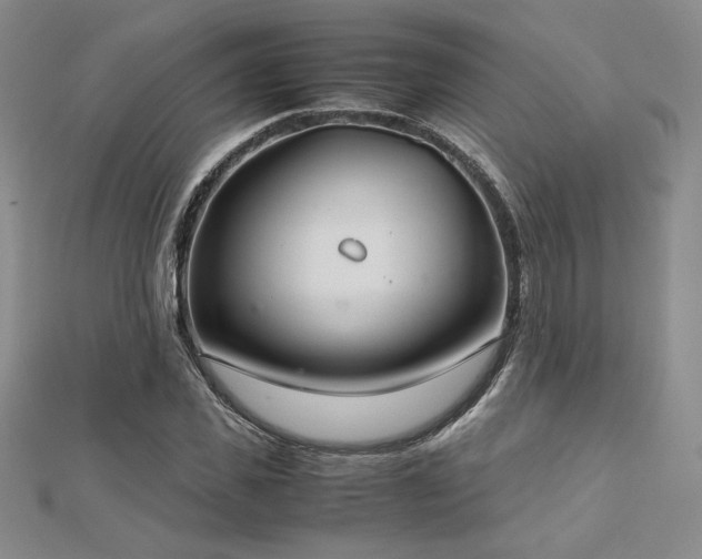 X0000113150925200909041230