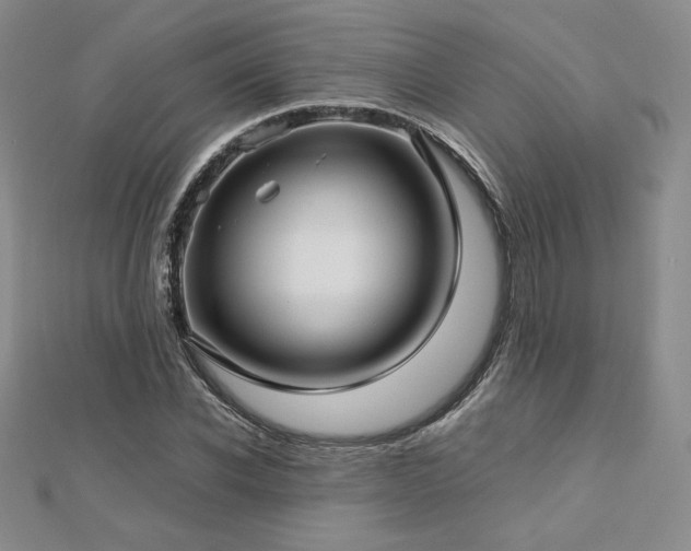 X0000113150926200909041230