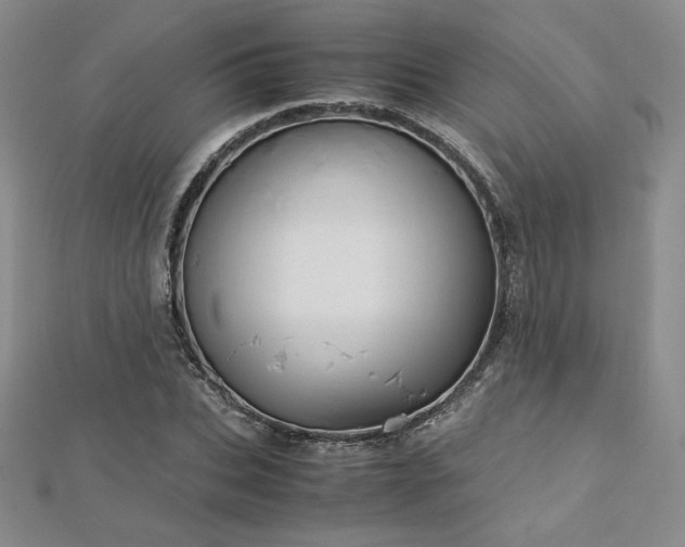 X0000113150927200909041230