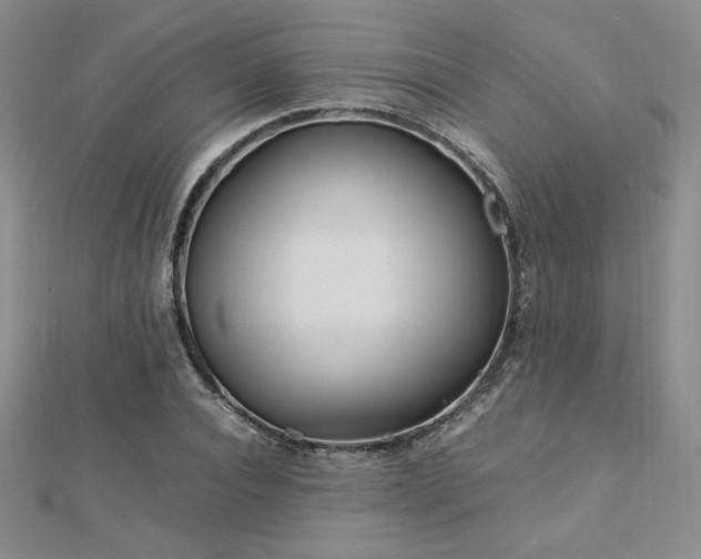 X0000113150928200909041230