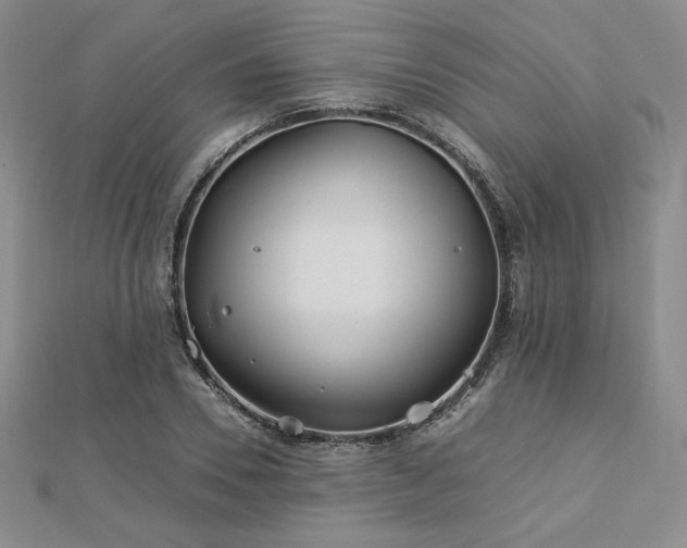 X0000113150930200909041230