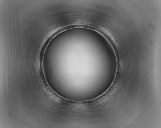 X0000113150931200909041230