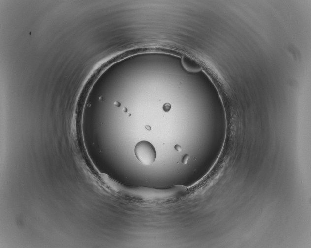 X0000113150932200909041230