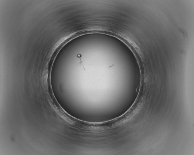 X0000113150933200909041230