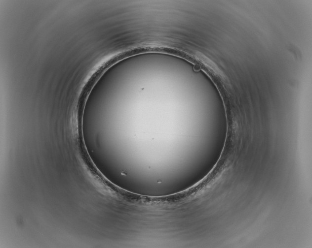 X0000113150934200909041230