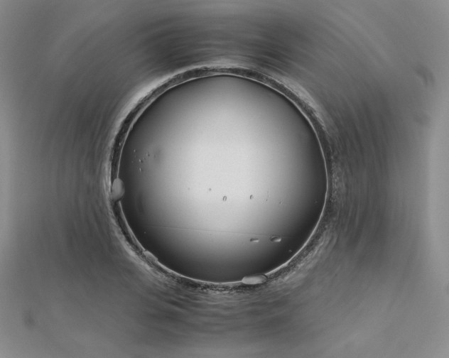 X0000113150935200909041230