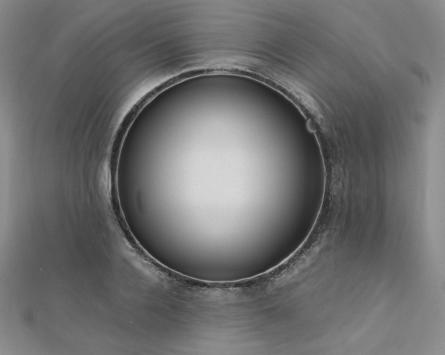 X0000113150936200909041230