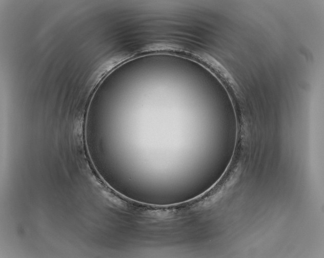 X0000113150937200909041230