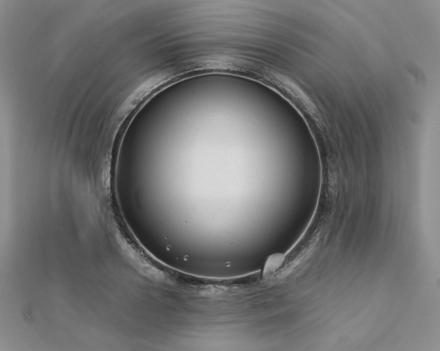 X0000113150938200909041230