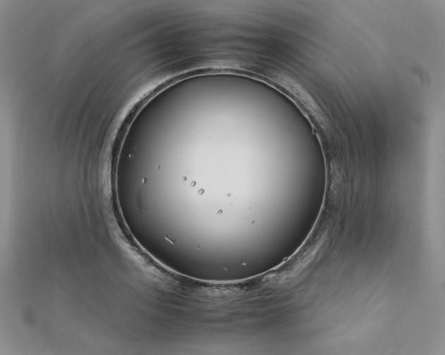 X0000113150939200909041230