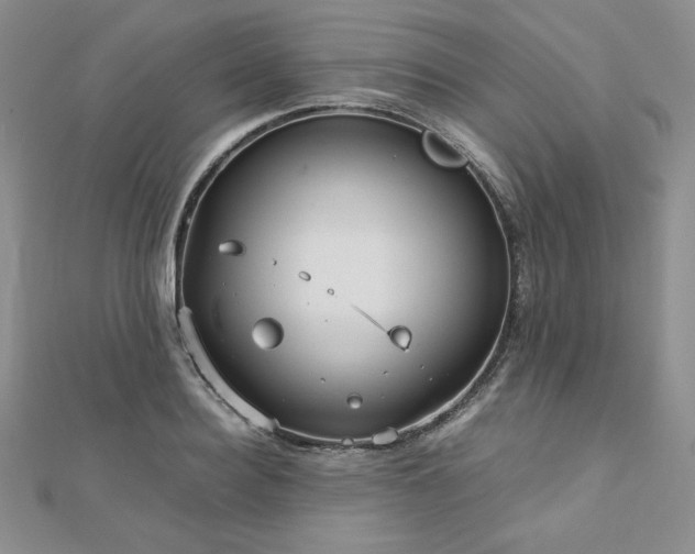 X0000113150940200909041230