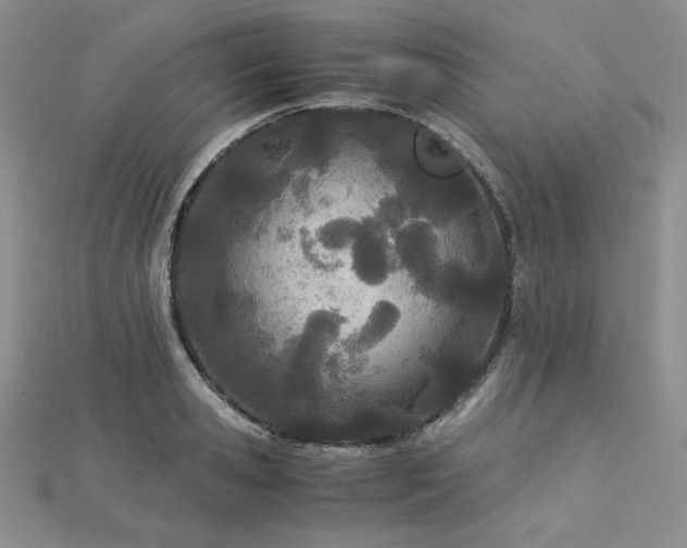 X0000113150941200909041230