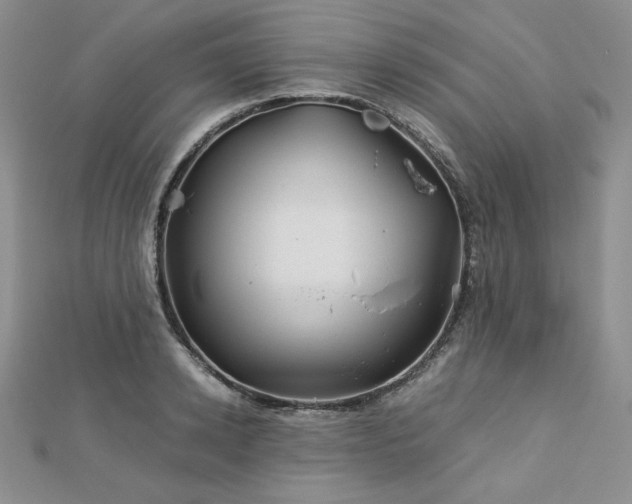 X0000113150942200909041230