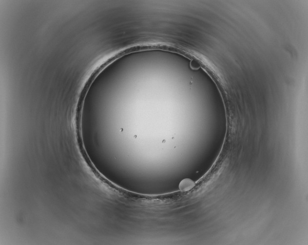 X0000113150943200909041230