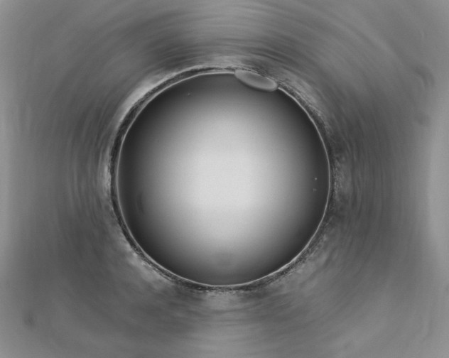 X0000113150944200909041230