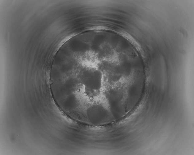 X0000113150945200909041230