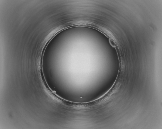 X0000113150946200909041230