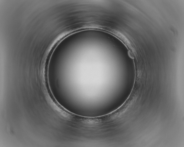 X0000113150947200909041230