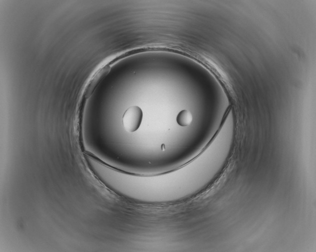 X0000113150948200909041230