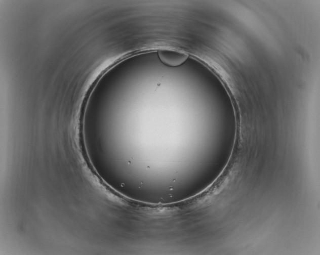 X0000113150949200909041230