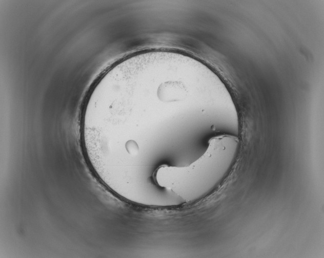 X0000113150950200909041230