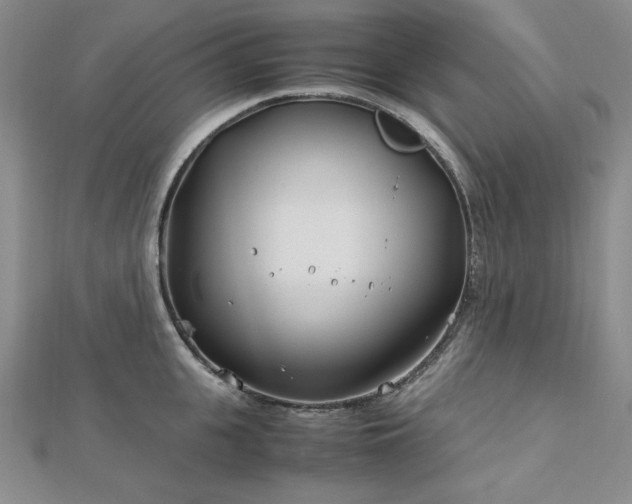 X0000113150951200909041230