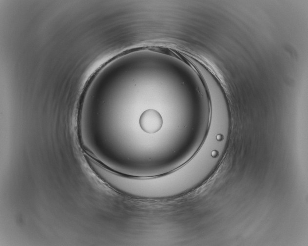 X0000113150952200909041230