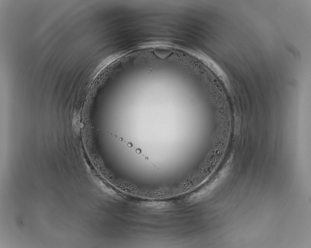 X0000113150953200909041230