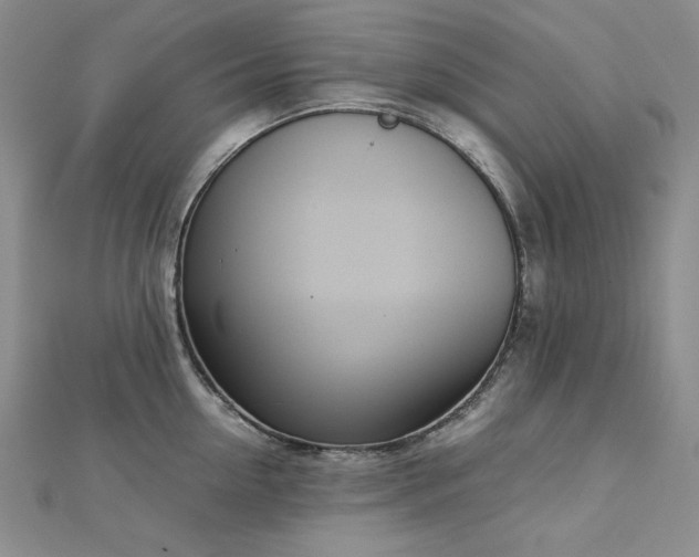 X0000113150954200909041230