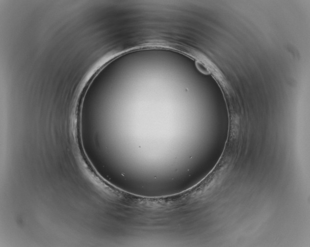 X0000113150955200909041230