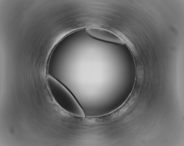 X0000113150956200909041230