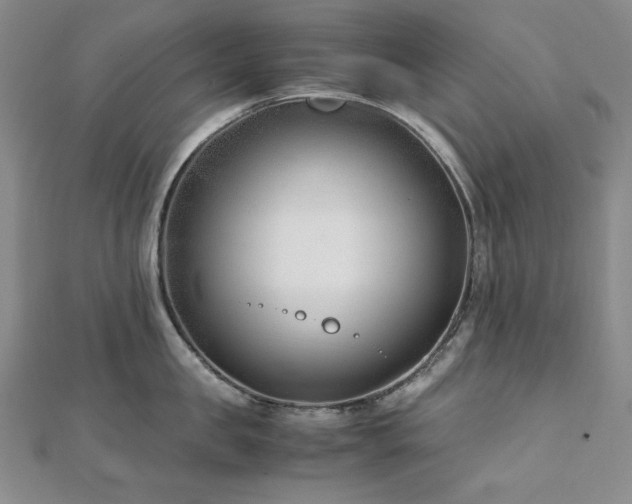 X0000113150957200909041230