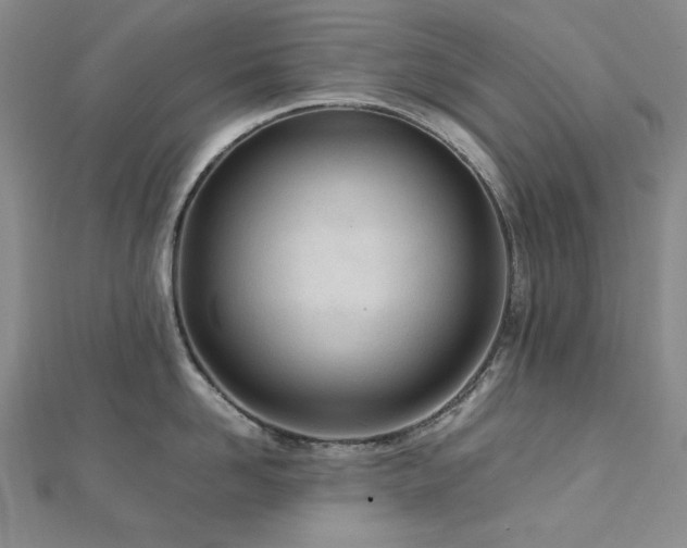 X0000113150958200909041230