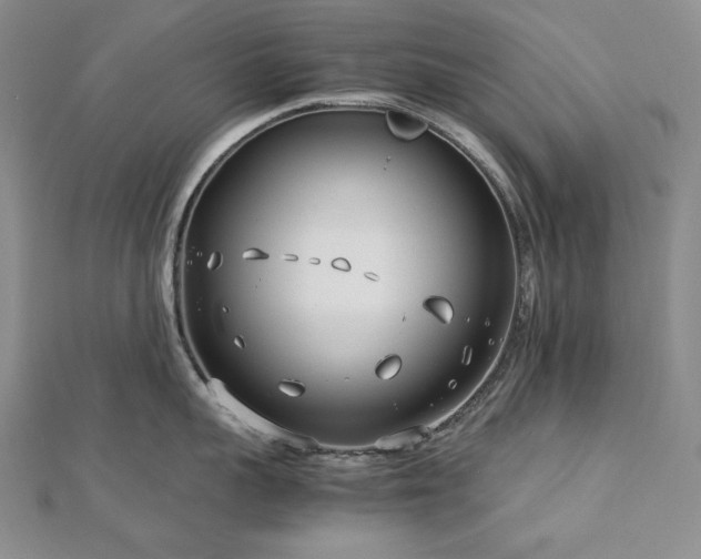 X0000113150959200909041230