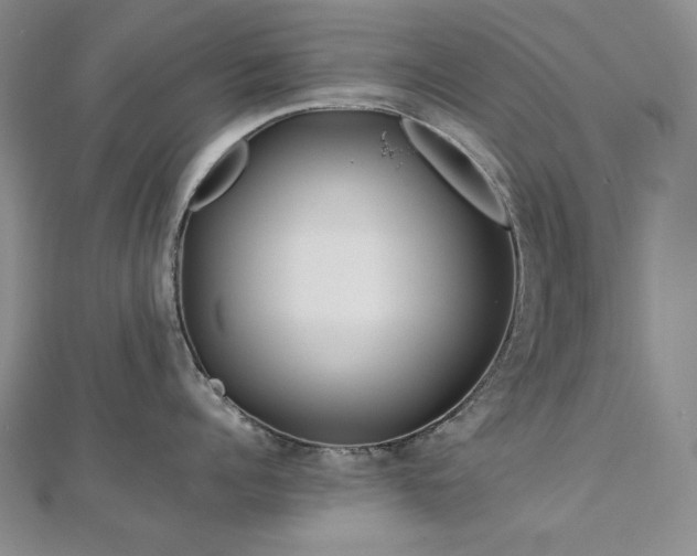 X0000113150960200909041230