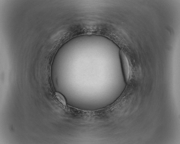 X0000113150961200909041230