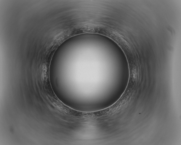 X0000113150964200909041230