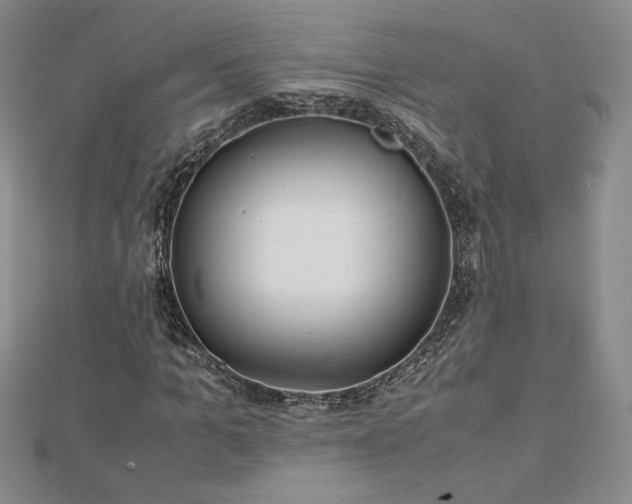 X0000113150965200909041230