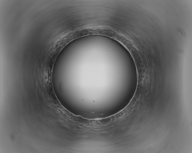 X0000113150966200909041230