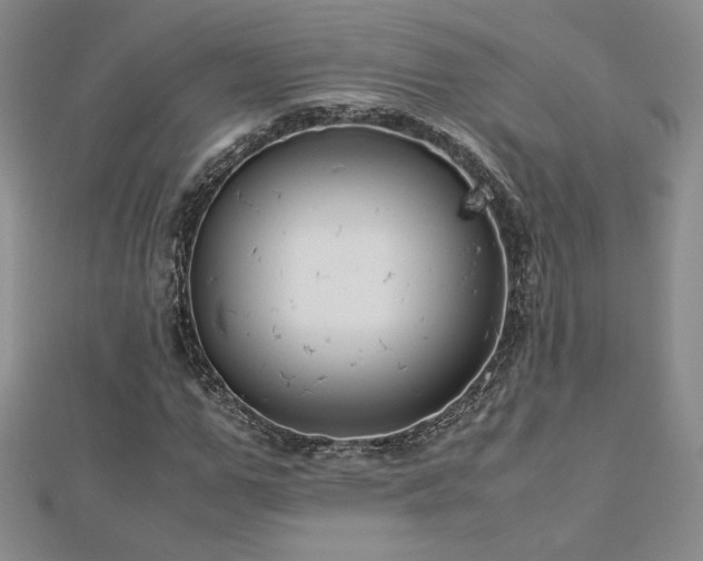 X0000113150967200909041230