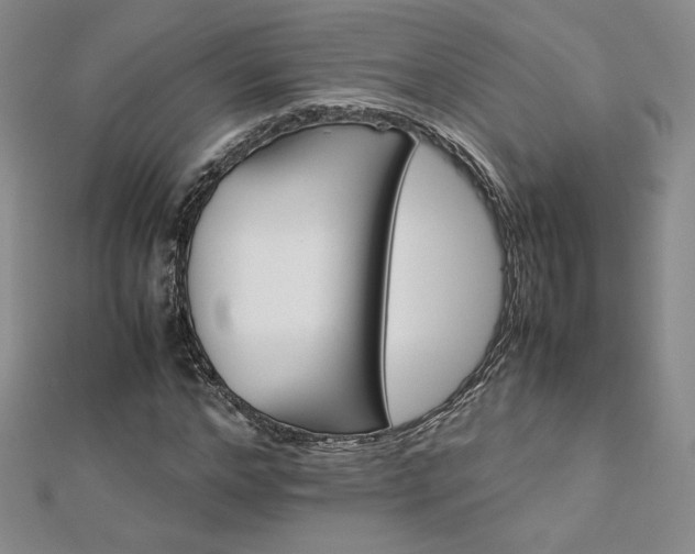 X0000113150968200909041230