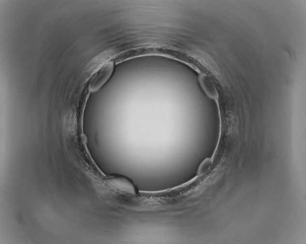 X0000113150969200909041229